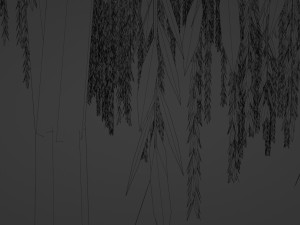 Tree wepping willow Modelo 3D