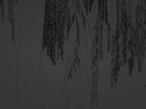 Tree wepping willow 3D Model