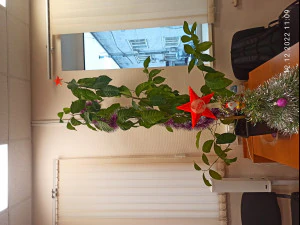Modular star for the Christmas tree with symbol of the year 2023removable 3D Print Model