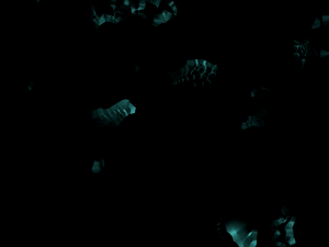 3d monster lunagaron Modelo 3D