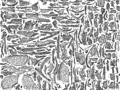 Xerathorn Uzaylı Yaratık Arma 3D Model