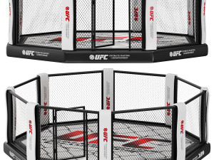 MMA octagon 3D Model