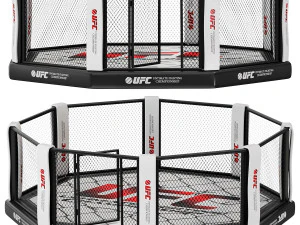 Ośmiokąt MMA Model 3D