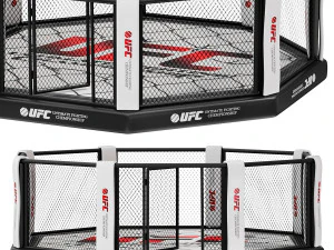 MMA octagon 3D Model