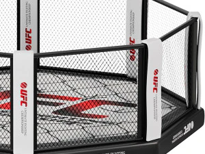 MMA octagon 3D Model