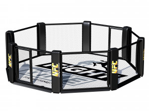 FY787 OKTAGON 3D Model