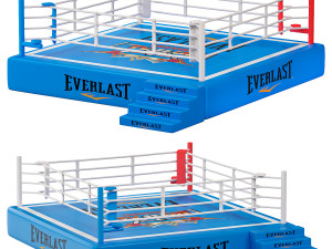 Boxing ring 3D Model