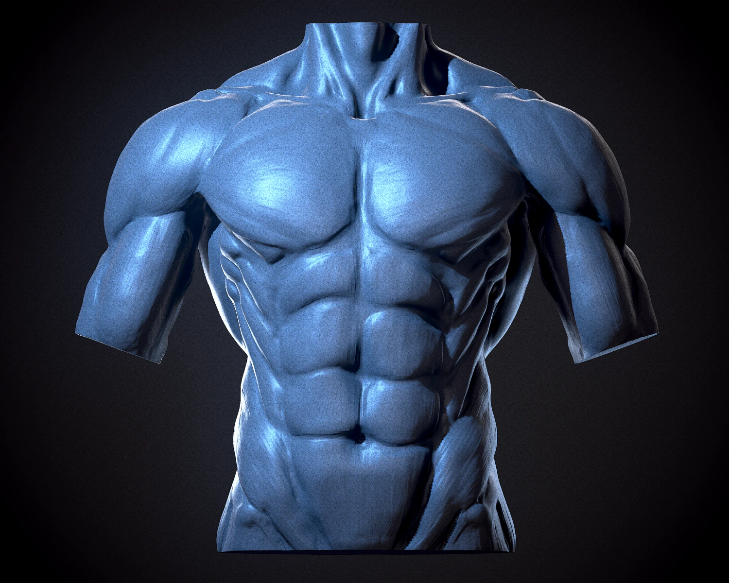 Male Human Torso 3D Model .c4d .max .obj .3ds .fbx .stl .blend 