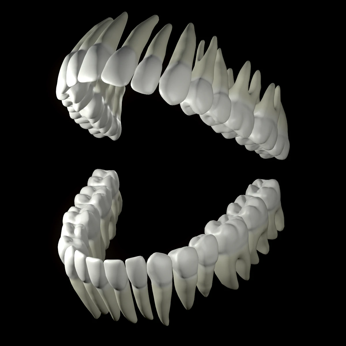 Realistic Human Teeth 3D Model .c4d .max .obj .3ds .fbx .stl .blend 