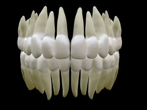 Realistic Human Teeth 3D Model