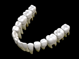 Realistic Human Teeth 3D Model