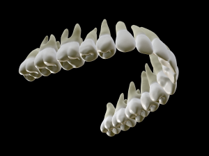 Realistic Human Teeth 3D Model