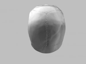 3D Detailed High Poly Human Skull 3D Model