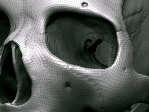 3D Detailed High Poly Human Skull 3D 모델