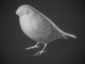 Bird Bullfinch Model 3D