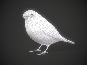Bird Bullfinch Model 3D