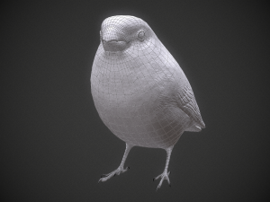 Bird Bullfinch Model 3D