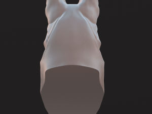 Stylized German Shepherd Dog Head 3D मॉडल