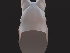 Stylized German Shepherd Dog Head 3D Model