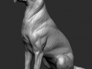 German Shepherd Dog - Low and High poly Model 3D Model