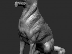 German Shepherd Dog - Low and High poly Model 3D Model