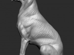 German Shepherd Dog - Low and High poly Model 3D Model