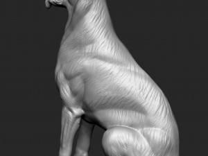 German Shepherd Dog - Low and High poly Model 3D Model