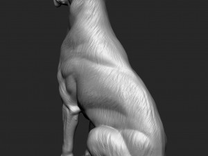 German Shepherd Dog - Low and High poly Model 3D Model