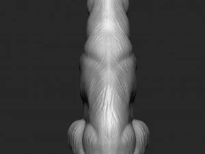 German Shepherd Dog - Low and High poly Model 3D Model