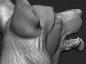German Shepherd Dog - Low and High poly Model 3D Model