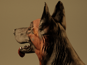 German Shepherd Dog 3D Model