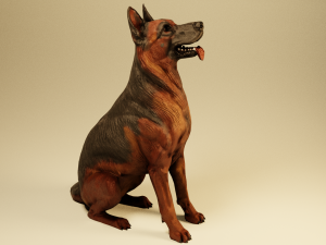 German Shepherd Dog 3D Model