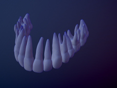 3D Detailed High and Low Poly Human Skull 3D 모델
