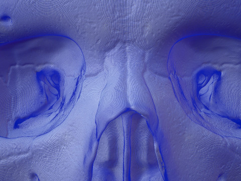 3D Detailed High and Low Poly Human Skull 3D 모델