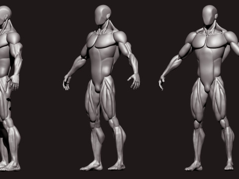 Stylized Human Body 3D Model