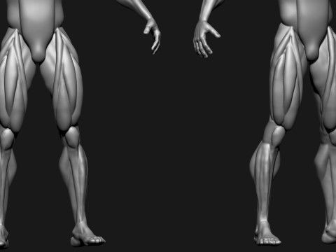 Stylized Human Body 3D Model