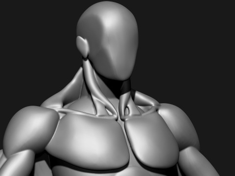 Stylized Human Body 3D Model