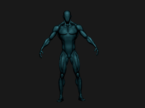 Stylized Human Body 3D Model