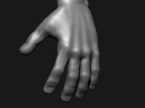 Stylized Human Body 3D Model