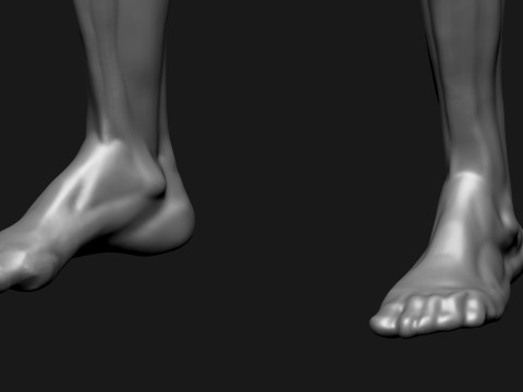 Stylized Human Body 3D Model