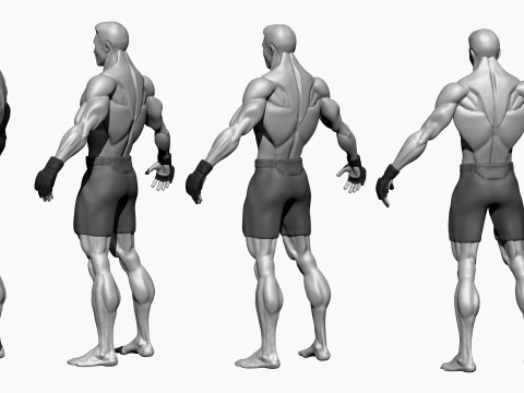 Stylized MMA Fighter 3D Model
