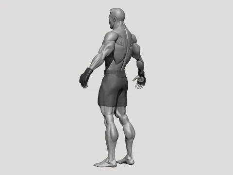 Stylized MMA Fighter 3D Model
