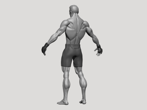 Stylized MMA Fighter 3D Model