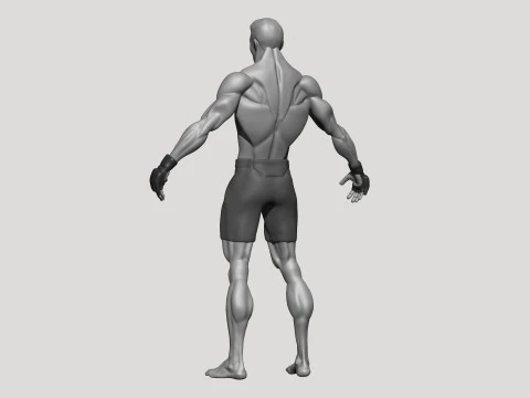 Stylized MMA Fighter 3D Model