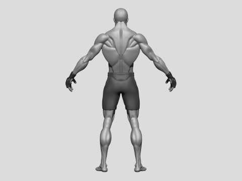 Stylized MMA Fighter 3D Model