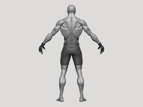 Stylized MMA Fighter 3D Model
