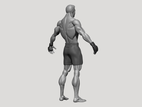 Stylized MMA Fighter 3D Model