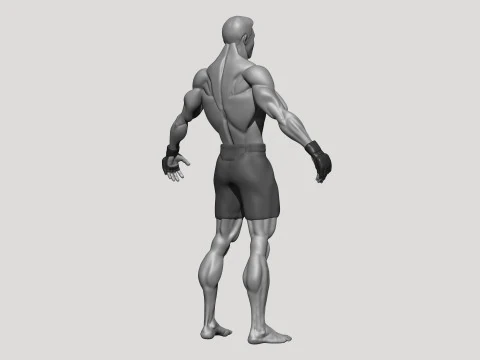 Stylized MMA Fighter 3D Model