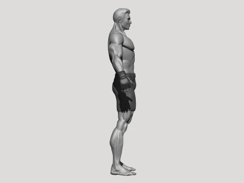 Stylized MMA Fighter 3D Model