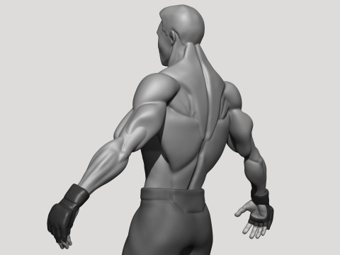 Stylized MMA Fighter 3D Model